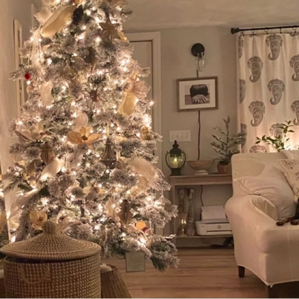 Pottery Barn Rayna Paisley Drapes